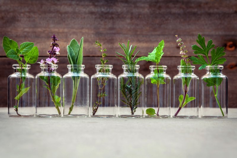 31 secrets d’une naturopathe pour vivre mieux – Janvier – L’essentiel