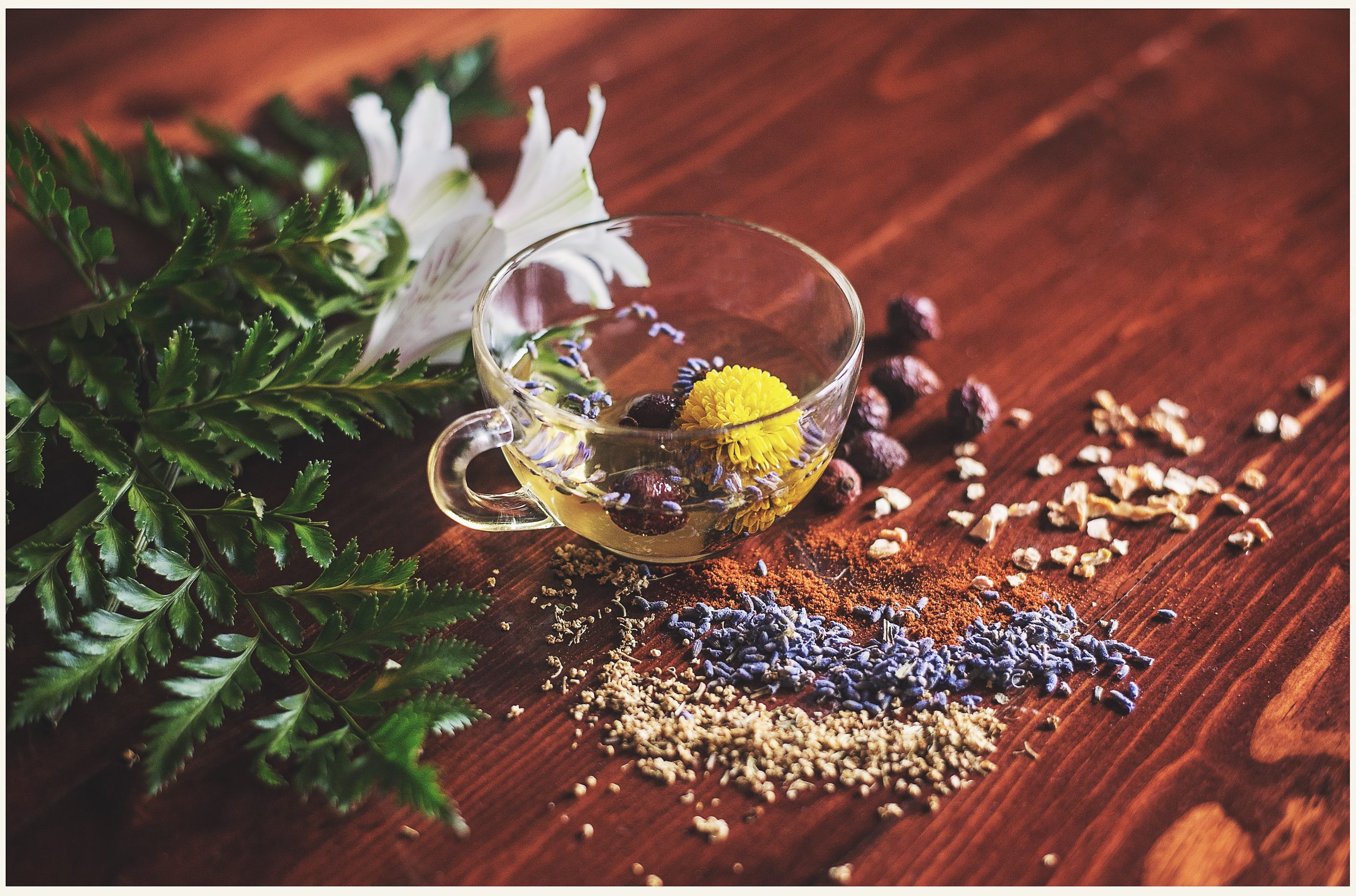 Tout savoir sur la naturopathie