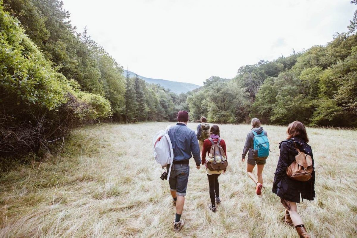 Reconnexion à la nature - marche