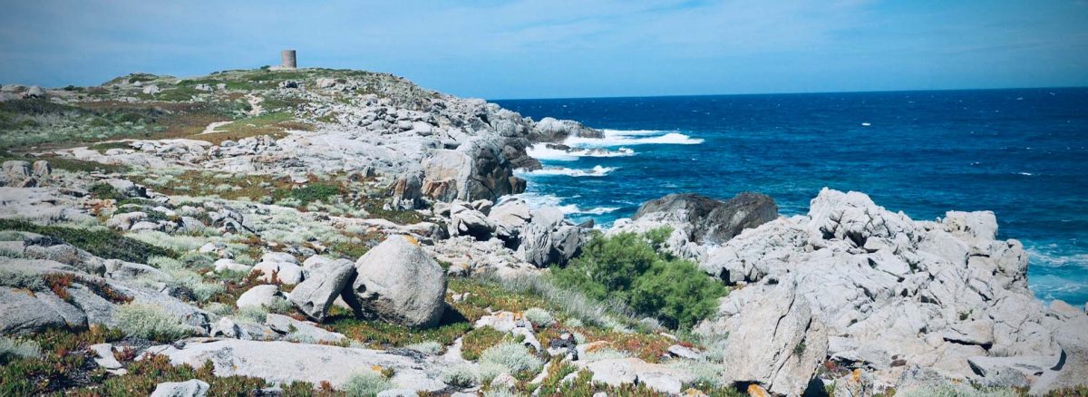 LES 10 CONSEILS NATURELS POUR UN ÉTÉ EN PLEINE FORME