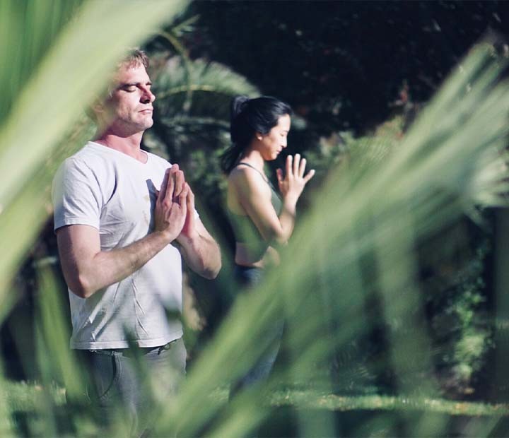 les cinq fondamentaux de la santé par Clairière & Canopée