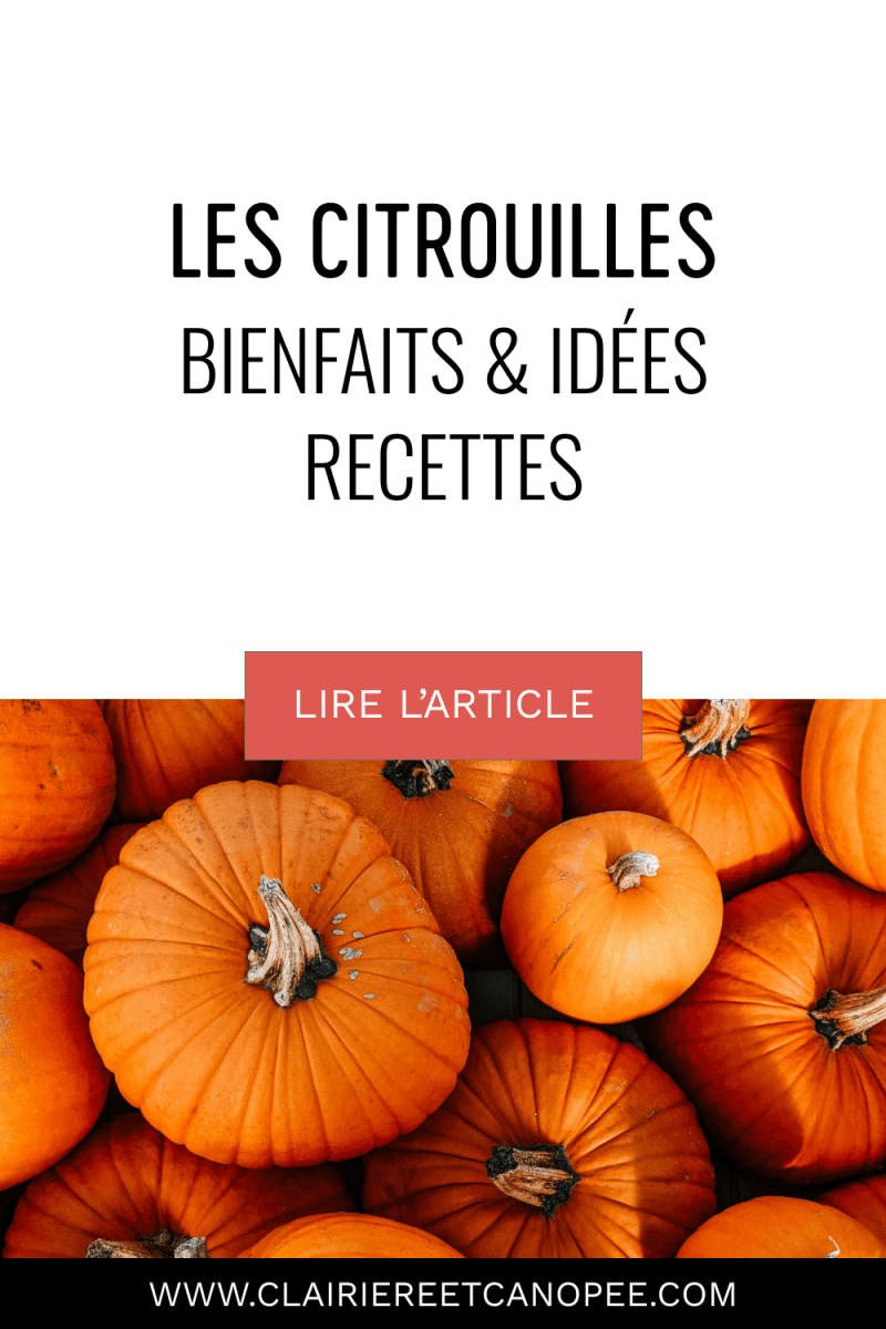 citrouilles bienfaits et idées recettes