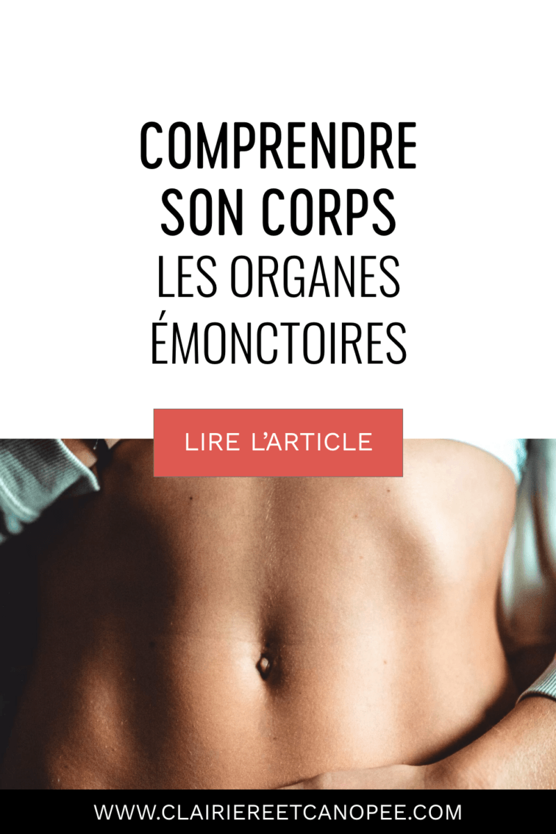 épingle pinterest organes émonctoires