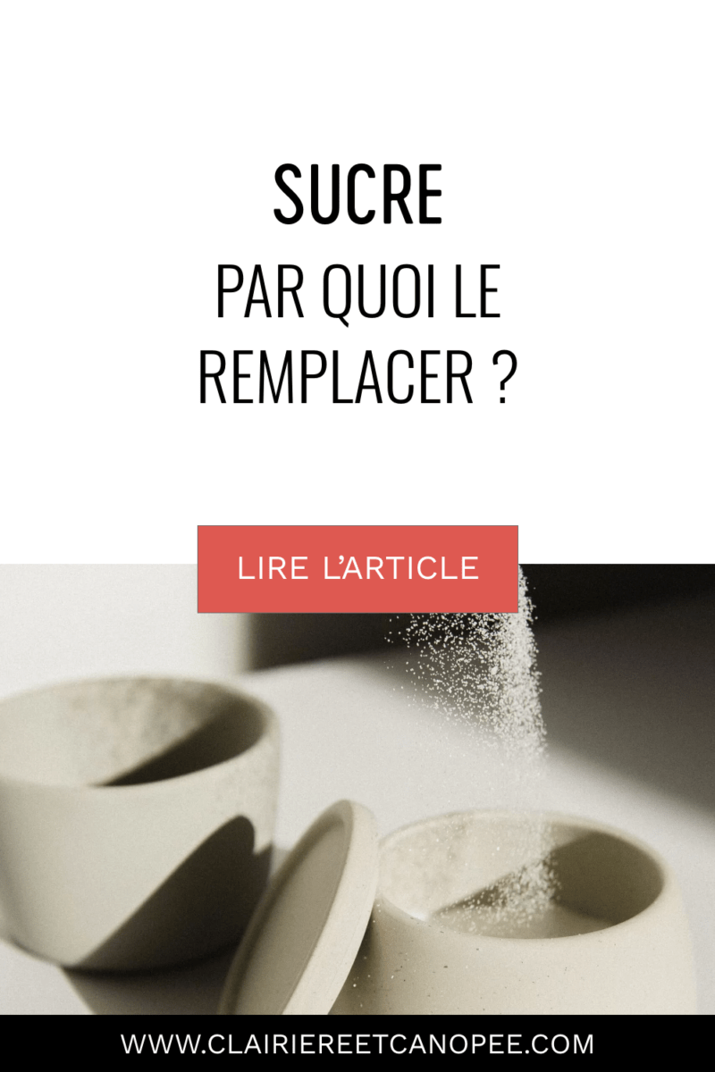 par quoi remplacer le sucre