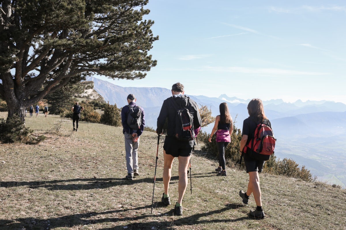 Tout savoir sur l’hormèse