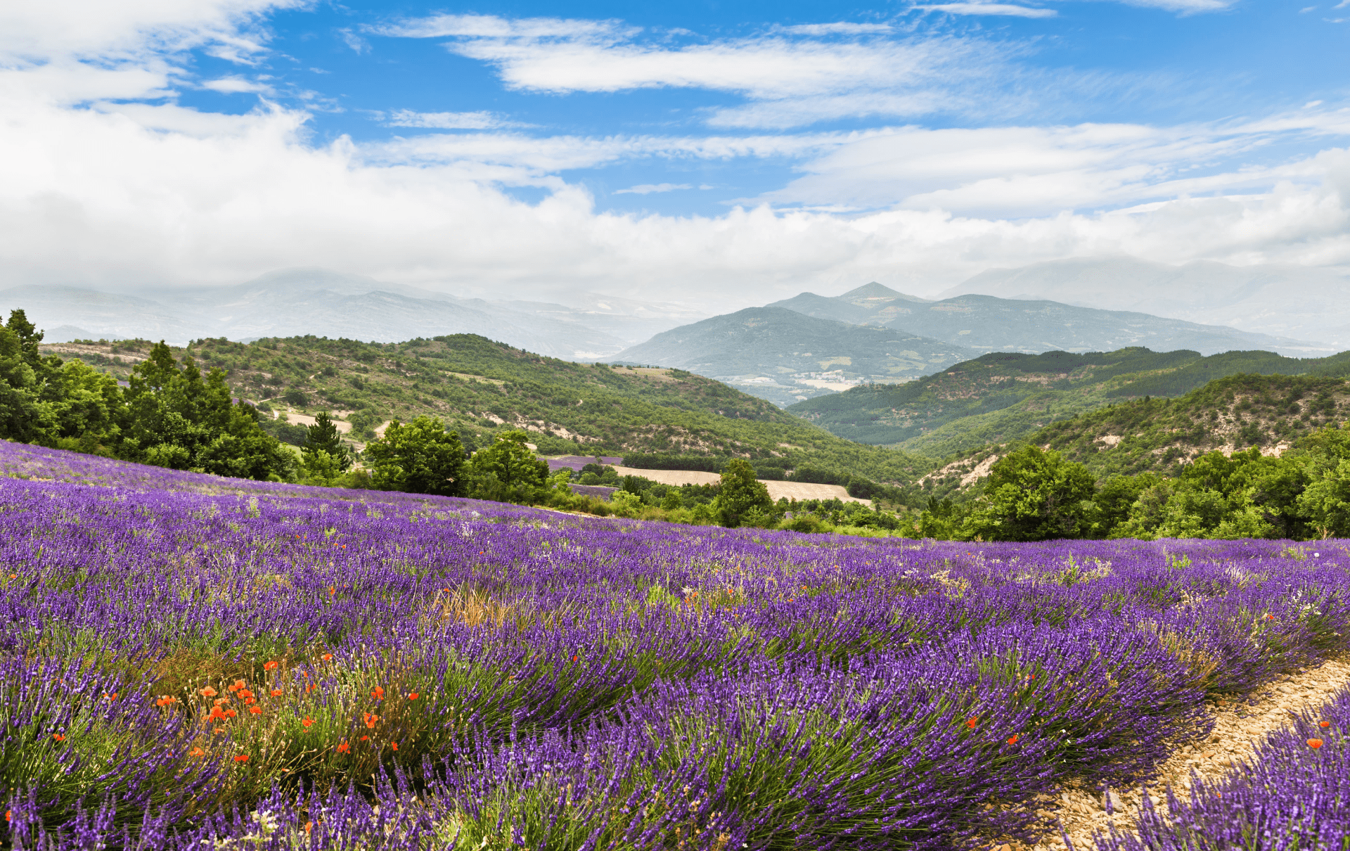 slider5-paysage-min
